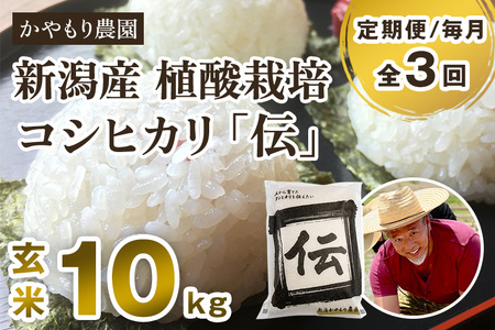 【令和7年産新米】【定期便3回毎月お届け】新潟産コシヒカリ「伝」真空パック 玄米10kg（5kg×2）《9月下旬～順次出荷》 かやもり農園