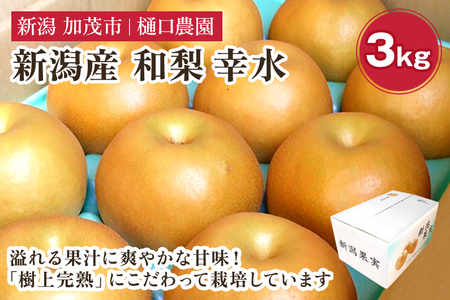 y2026Ns\za K 3kgi6`9ʁjs8{珇t  