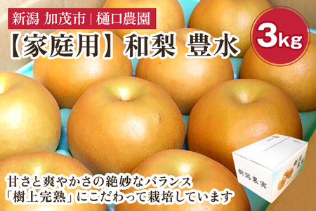 【2026年先行予約】【家庭用】和梨 豊水 3kg（6～9玉）《9月上旬から順次発送》 ほうすい 梨