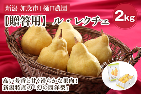 [贈答用]西洋梨 ル・レクチェ 2kg(5〜7玉)[11月下旬から順次発送]果物 梨 洋梨 西洋梨 フルーツ 冬の味覚 デザート 産地直送 加茂市 樋口農園 梨 梨 梨 梨 梨 梨