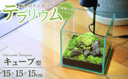テラリウム 15cm キューブ(苔5種類) 苔リウム 苔テラリウム