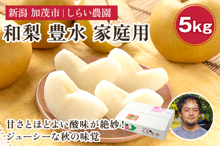 [2026年先行予約]しらい農園の和梨 豊水 家庭用5kg(8〜18玉) [9月中旬〜順次発送]