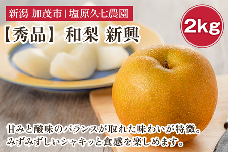 【2025年先行予約】新潟県産 和梨 新興 2kg 【秀品】《10月下旬から順次出荷》 しんこう なし 果物 フルーツ デザート ジューシー シャキシャキ 加茂市 塩原久七農園