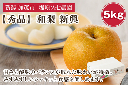 【2025年先行予約】新潟県産 和梨 新興 5kg 【秀品】《10月下旬から順次出荷》 しんこう なし 果物 フルーツ デザート ジューシー シャキシャキ 加茂市 塩原久七農園