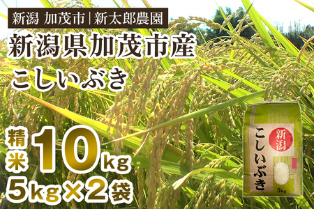 【令和7年産新米】新潟県加茂市産こしいぶき 精米10kg（5kg×2袋） 《9月上旬から順次出荷》 コシイブキ お米 ライス ごはん ご飯 新潟米 新潟産 加茂市産 新太郎農園