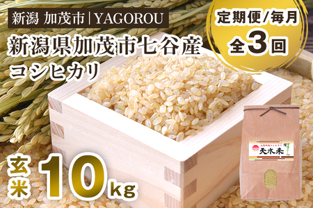 【令和7年産新米先行予約】【定期便3ヶ月毎月お届け】新潟県加茂市 七谷産コシヒカリ 玄米10kg 《10月中旬～順次発送》 新潟産コシヒカリ 豊かな山水で育った天水米 加茂市 YAGOROU ヤゴロウ