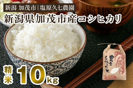 【令和8年産新米先行予約】新潟県加茂市産コシヒカリ 精米10kg（5kg×2袋）《10月上旬～順次出荷》