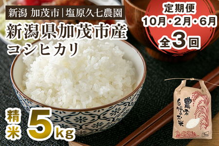 【令和8年産新米先行予約】【定期便3回10月・2月・6月にお届け】産コシヒカリ 精米5kg（5kg×1袋） 《10月上旬～順次出荷》