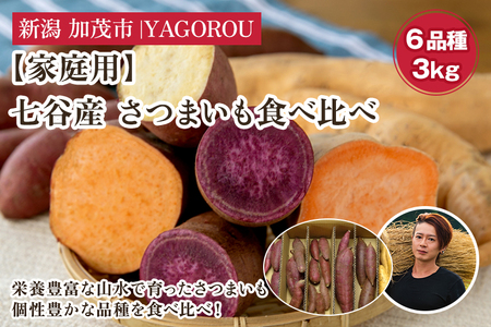 【2025年先行予約】【家庭用】さつまいも6種食べ比べ 3kg（A品・B品混在） 新潟県加茂市七谷産 さつまいも《11月下旬〜順次発送》 サツマイモ お芋 焼き芋 スイートポテト 野菜 根菜 低温熟成