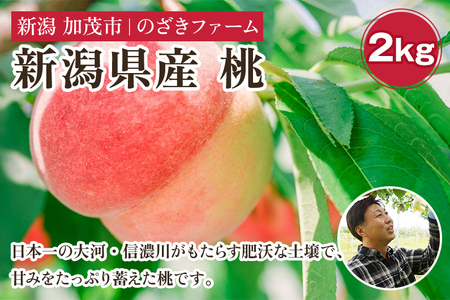 [2025年先行予約]新潟県産 桃 2kg(6〜9玉)[7月中旬〜順次出荷] 果物 くだもの フルーツ もも ピーチ 新潟県加茂市 のざきファーム