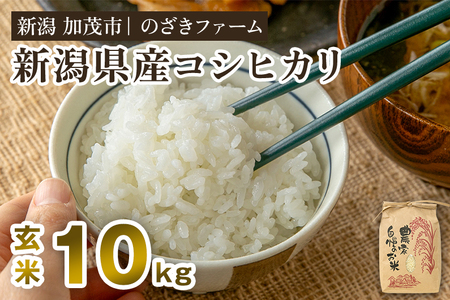 【令和8年産新米先行予約】新潟県産コシヒカリ 玄米10kg（10kg×1袋）（従来品種）《9月中旬から順次出荷》