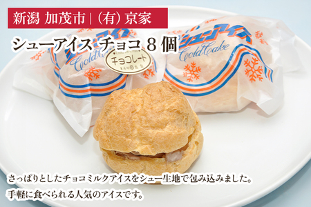 シューアイス チョコ 8個 アイスクリーム
