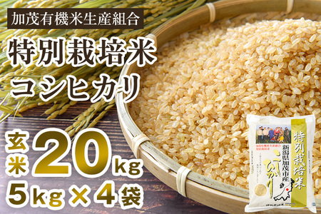 【令和7年産】新潟県加茂市産 特別栽培米コシヒカリ 玄米20kg（5kg×4）従来品種コシヒカリ