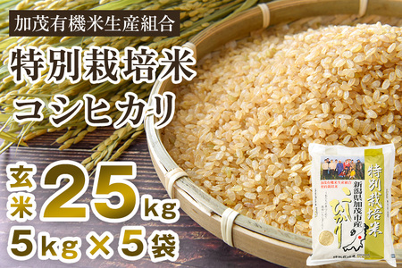 【令和7年産】新潟県加茂市産 特別栽培米コシヒカリ 玄米25kg（5kg×5）従来品種コシヒカリ