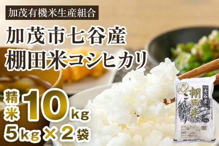 [令和5年産米]新潟県加茂市 七谷産 棚田米コシヒカリ 精米10kg(5kg×2)白米 加茂有機米生産組合 コシヒカリ 新潟県産コシヒカリ 米 お米