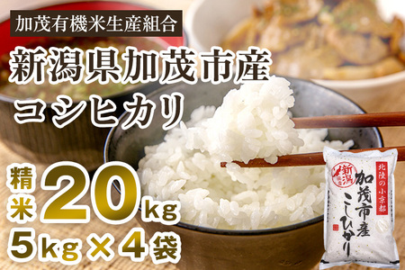 【令和6年産新米先行予約】新潟県加茂市産コシヒカリ 精米20kg（5kg×4）白米 加茂有機米生産組合 コシヒカリ 新潟県産コシヒカリ 米 お米コシヒカリ コシヒカリ コシヒカリ コシヒカリ コシヒカリ