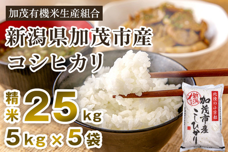 【令和6年産新米先行予約】新潟県加茂市産コシヒカリ 精米25kg（5kg×5）白米 加茂有機米生産組合 コシヒカリ 新潟県産コシヒカリ 米 お米コシヒカリ コシヒカリ コシヒカリ コシヒカリ コシヒカリ