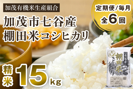 yߘa7NYVĐs\zy6͂z JY IcăRVqJ 15kgi5kg×3js10{珇oׁt