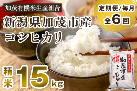 【定期便6ヶ月毎月お届け】【令和6年産新米先行予約】新潟県加茂市産コシヒカリ 精米15kg（5kg×3）白米 加茂有機米生産組合 定期便 定期購入 定期 新潟県産コシヒカリ 米 お米