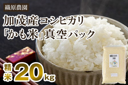 [令和7年産新米][無農薬・無化学肥料]新潟産コシヒカリ「かも米」精米20kg(5kg×4袋)[順次出荷] 白米真空パック 従来品種コシヒカリ 加茂市 織原農園