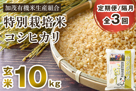 【定期便3回隔月お届け】【令和6年産新米先行予約】新潟県加茂市産 特別栽培米コシヒカリ 玄米10kg（5kg×2）従来品種コシヒカリ 加茂有機米生産組合 定期便 定期購入 定期 新潟県産コシヒカリ 米 お米