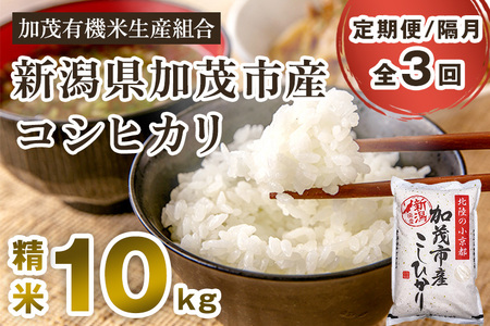 yߘa7NYVĐs\zy3u͂zVΎsYRVqJ 10kgi5kg×2js10{珇oׁt