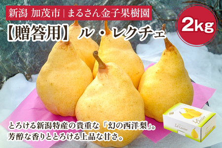 [2026年先行予約][贈答用]ル・レクチェ 2kg(5〜7玉)[12月上旬から順次発送] 果物 梨 洋梨 西洋梨 フルーツ 冬の味覚 デザート 産地直送 加茂市 まるさん金子果樹園