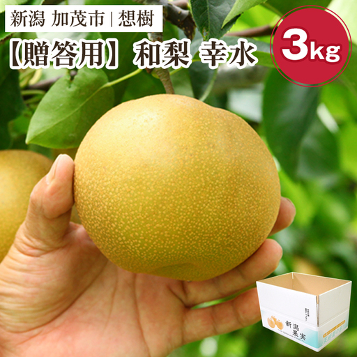 [2026年先行予約][贈答用]新潟県産和梨 幸水 約3kg(5〜9玉)[8月下旬〜順次出荷] 梨 なし ナシ 幸水 こうすい
