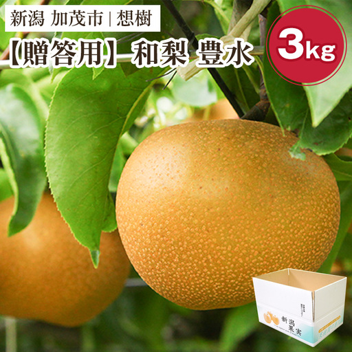 [2026年先行予約][贈答用]新潟県産和梨 豊水 約3kg(4〜9玉)[9月上旬〜順次出荷] 梨 豊水 ほうすい