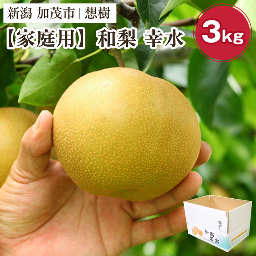 [2026年先行予約][家庭用]新潟県産和梨 幸水 約3kg(5〜9玉)[8月下旬〜順次出荷] 梨 幸水 こうすい