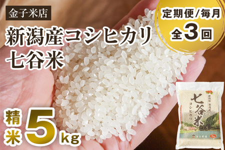 【定期便3回毎月お届け】【2024年先行予約】【令和6年産新米】老舗米穀店が厳選 新潟産 従来品種コシヒカリ「七谷米」精米5kg 白米 窒素ガス充填パックで鮮度長持ち 金子米店 定期便 定期購入 定期 コシヒカリ 新潟県産コシヒカリ 米 お米コシヒカリ コシヒカリ コシヒカリ コシヒカリ コシヒカリ