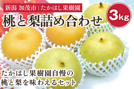 [2025年先行予約]たかはし果樹園 謹製 桃と和梨の内容おまかせ詰め合わせセット 約3kg[8月中旬から発送] 新潟県産 なし ナシ もも モモ 果物 フルーツギフト 秋の味覚 産地直送 加茂市 たかはし果樹園 梨 梨 桃 