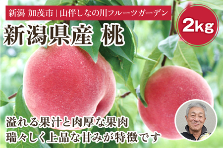 [2026年先行予約]新潟県産 桃 約2kg(約6〜8個)[7月中旬〜お届け]