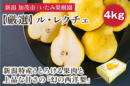 [2026年先行予約]新潟特産 幻の洋梨ル・レクチェ 厳選プレミアム 約4kg(8〜12玉)[11月下旬〜順次出荷] 令和5年新潟県ル・レクチェ果実品評会「県知事賞」 いたみ果樹園