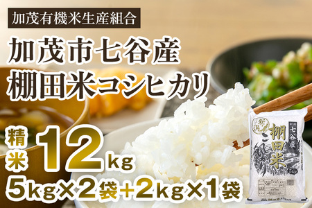 【令和7年産新米先行予約】 七谷産 棚田米コシヒカリ 精米12kg（5kg×2＋2kg×1）《10月中旬から順次出荷》白米 加茂有機米生産組合