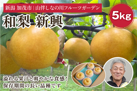 y2025Nza V 5kgi7`10js11{`͂t RȂ̐t[cK[f