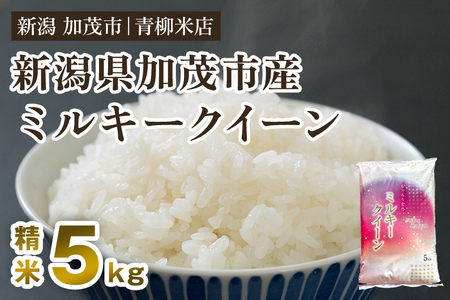 [令和5年産米]新潟県央地区 ミルキークイーン 精米5kg 白米 青柳米店 ミルキークイーン 新潟県産ミルキークイーン 米 お米