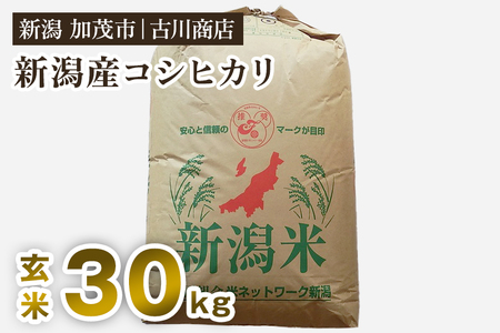 [令和6年産米]新潟県加茂市産コシヒカリ 玄米30kg 一等米 お米の専門店 古川商店 新潟県産コシヒカリ 米 お米