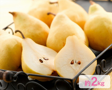 [2026年先行予約]新潟特産 幻の洋梨ル・レクチェ 約2kg[11月下旬〜配送予定] 加茂市 えちご中越農業協同組合