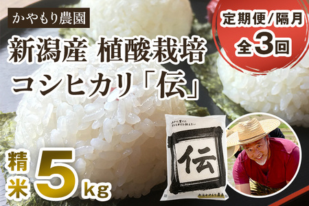 [定期便3回隔月お届け]新潟産コシヒカリ「伝」白米真空パック 精米5kg 南麻布の高級料亭で提供される極上米 かやもり農園 定期便 定期購入 定期 コシヒカリ 新潟県産コシヒカリ 米 お米