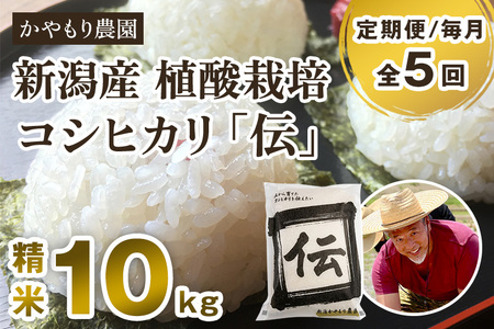 【定期便5ヶ月毎月お届け】新潟産コシヒカリ「伝」白米真空パック 精米10kg（5kg×2）南麻布の高級料亭で提供される極上米 かやもり農園 定期便 定期購入 定期 コシヒカリ 新潟県産コシヒカリ 米 お米コシヒカリ コシヒカリ コシヒカリ コシヒカリ コシヒカリ