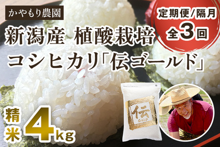 【定期便3回隔月お届け】新潟産コシヒカリ「伝ゴールド」白米真空パック 精米4kg（2kg×2）かやもり農園