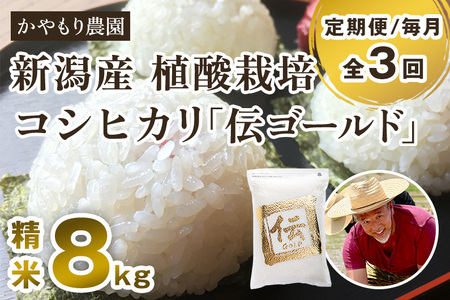 【定期便3回毎月お届け】新潟産コシヒカリ「伝ゴールド」白米真空パック 精米8kg（2kg×4）かやもり農園