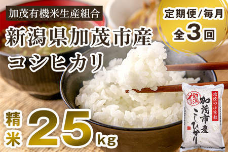 【令和7年産新米先行予約】【定期便3回毎月お届け】新潟県加茂市産コシヒカリ 精米25kg（5kg×5） 《10月中旬から順次出荷 》 白米 加茂有機米生産組合