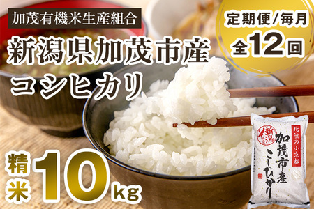 【定期便12ヶ月毎月お届け】【令和6年産新米先行予約】新潟県加茂市産コシヒカリ 精米10kg（5kg×2）白米 加茂有機米生産組合 定期便 定期購入 定期 新潟県産コシヒカリ 米 お米