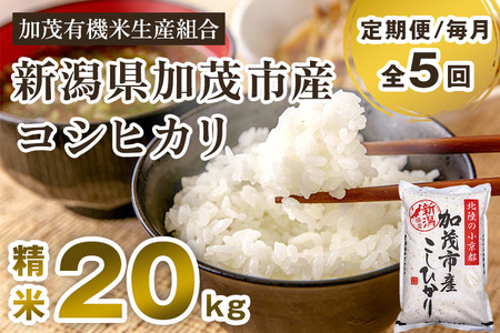 【定期便5ヶ月毎月お届け】【2024年先行予約】【令和6年度産新米】新潟県加茂市産コシヒカリ 精米20kg（5kg×4）白米 加茂有機米生産組合 定期便 定期購入 定期 コシヒカリ 新潟県産コシヒカリ 米 お米コシヒカリ コシヒカリ コシヒカリ コシヒカリ コシヒカリ