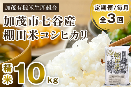 [定期便3回毎月お届け]新潟県加茂市 七谷産 棚田米コシヒカリ 精米10kg(5kg×2)白米 加茂有機米生産組合 定期便 定期購入 定期 コシヒカリ 新潟県産コシヒカリ 米 お米