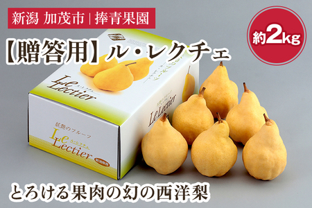 【2025年先行予約】【贈答用】西洋梨 ル・レクチェ 約2kg（5～7玉） 《11月下旬以降発送》 幻の西洋梨 果実 フルーツ 冬の味覚 加茂市 捧青果園 ルレクチェ 洋梨ルレクチェ
