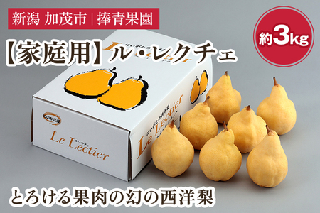 【2025年先行予約】【家庭用】西洋梨 ル・レクチェ 約3kg（７～10玉） 《11月下旬以降発送》 幻の西洋梨 果実 フルーツ 冬の味覚 加茂市 捧青果園 ルレクチェ 洋梨ルレクチェ
