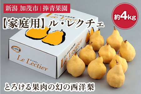 【2025年先行予約】【家庭用】西洋梨 ル・レクチェ 約4kg（9～12玉） 《11月下旬以降発送》 幻の西洋梨 果実 フルーツ 冬の味覚 加茂市 捧青果園 ルレクチェ 洋梨ルレクチェ